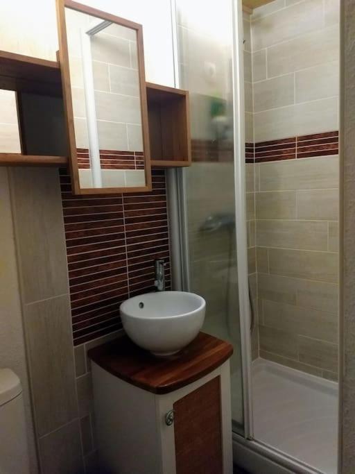 T2 Pour 4 Pers Style Chalet Pied Des Pistes Bolquère 외부 사진
