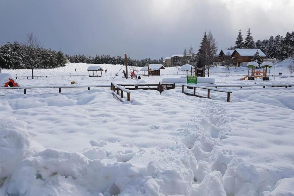 T2 Pour 4 Pers Style Chalet Pied Des Pistes Bolquère 외부 사진